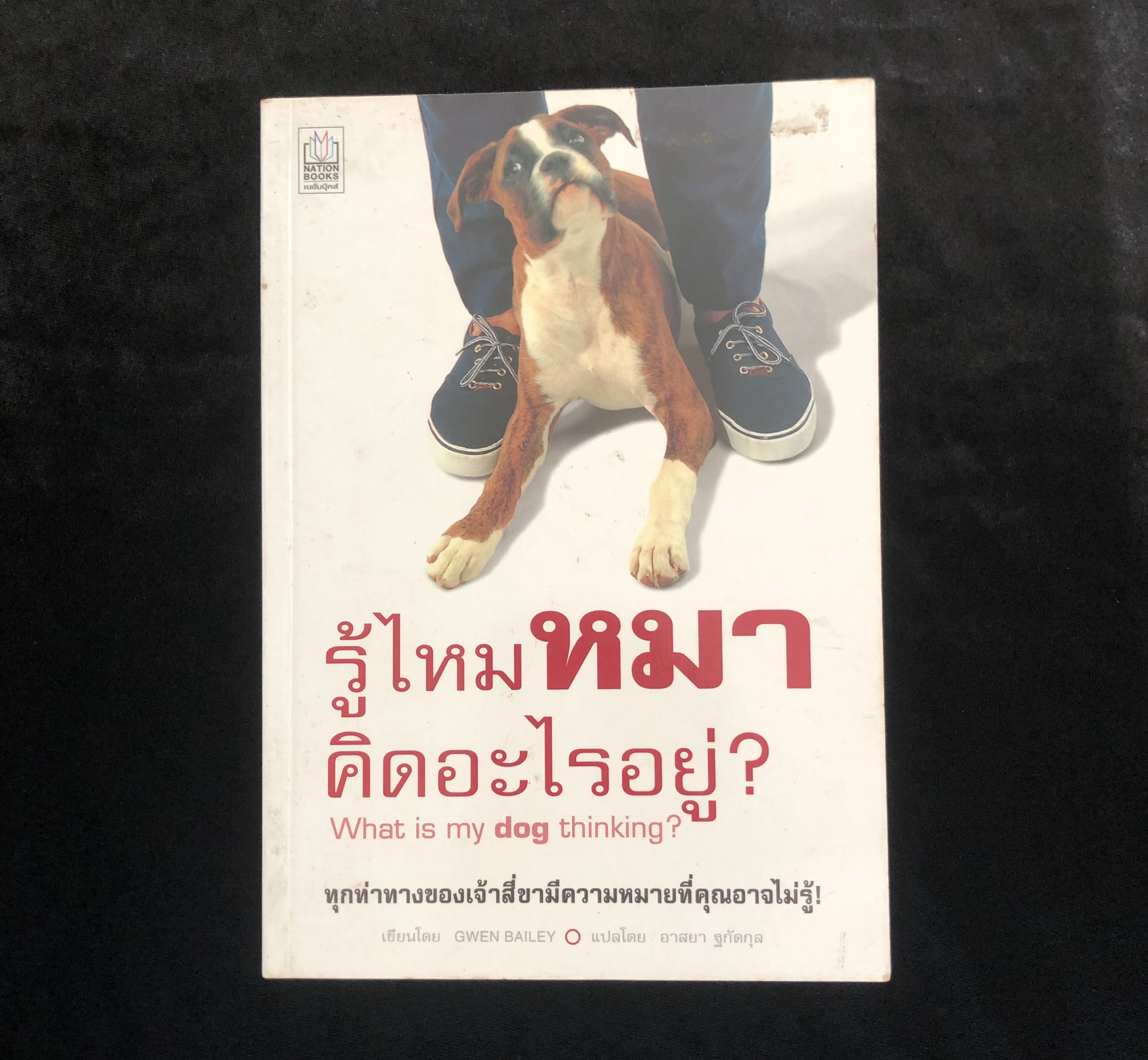 รู้ไหมหมาคิดอะไรอยู่?