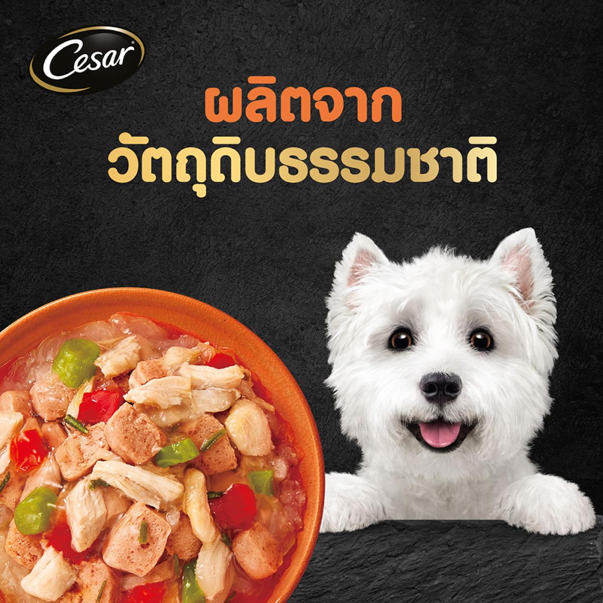 Cesar ซีซาร์ คราฟต์ อาหารเปียก สุนัข ขนาด 70 g