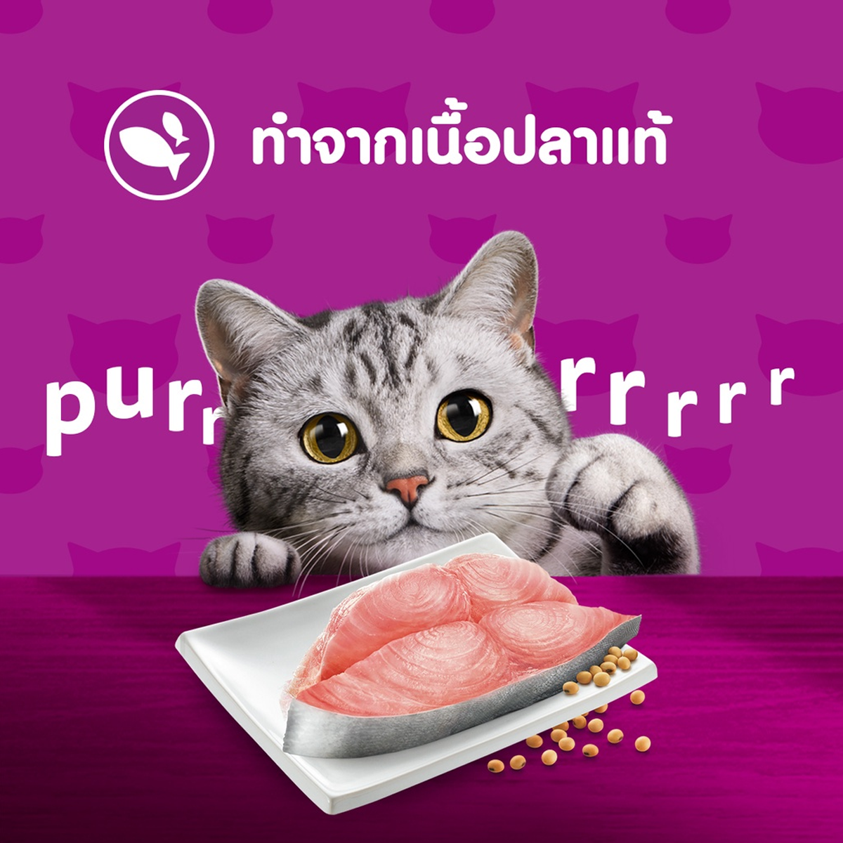 WHISKAS วิสกัส อาหารแมวชนิดเปียก เพาซ์มัลติแพค ขนาด 80 กรัม X 12 ซอง