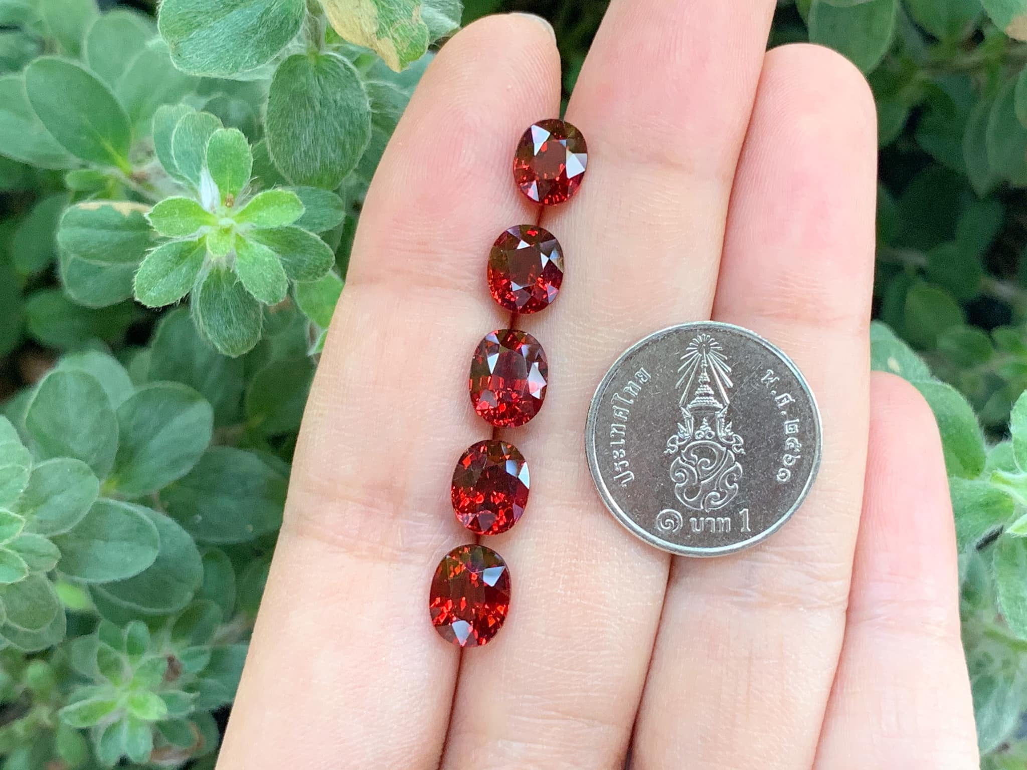 พลอยสเปสซาไท (Spessatite garnet) size 2 กะรัต ชุดละ 7,900 บาท