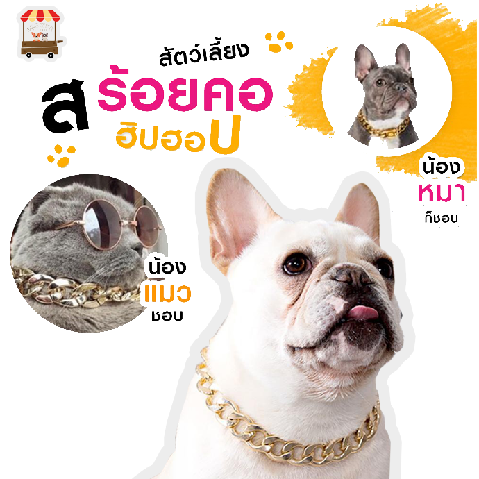 ปลอกคอสุนัขสีทอง