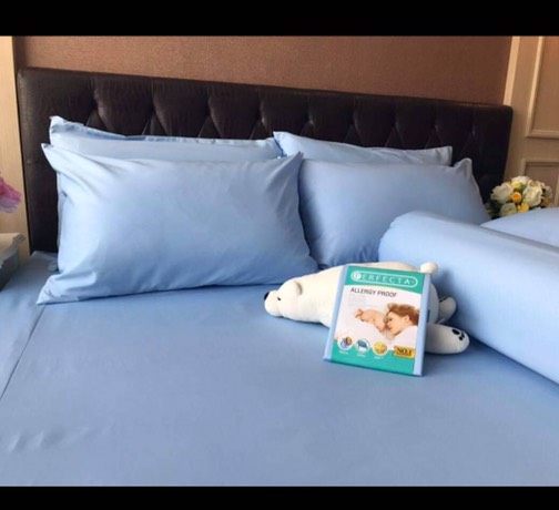 SET ชุดที่นอนผ้ากันไรฝุ่น แบรนด์ Perfecta สุดคุ้ม !! ( ผ้าปูที่นอนกันไรฝุ่น ขนาดเตียงเดี่ยว 3.5 ฟุต พร้อมปลอกหมอนกันไรฝุ่น 1 ใบ )