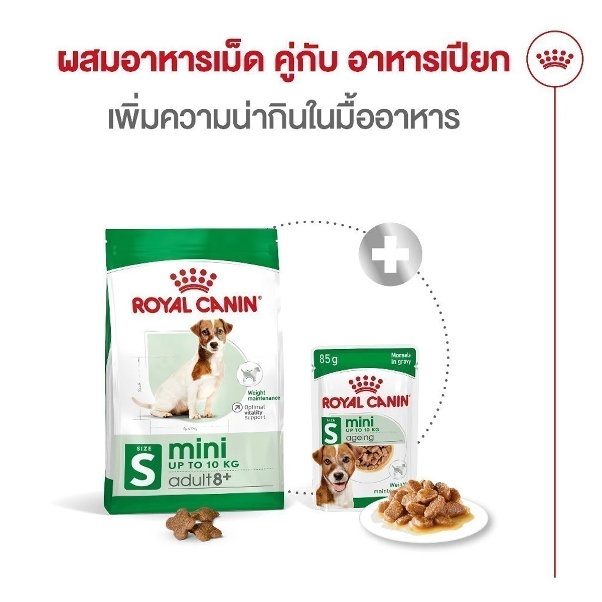 Royal Canin Mini Adult 8+ 800g อาหารเม็ดสุนัขสูงวัย พันธุ์เล็ก อายุ 8 ปีขึ้นไป (Dry Dog Food, โรยัล คานิน)