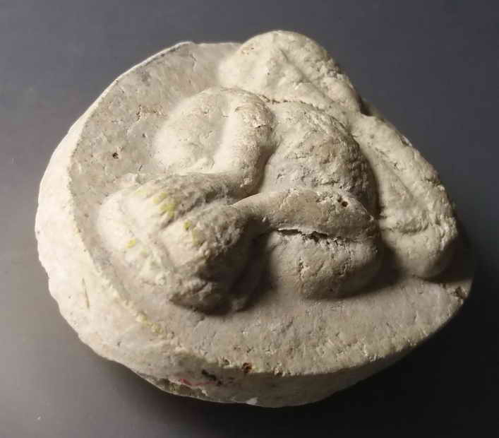 รหัสสินค้า พระปิดตา ทั่วไป 060 พระปิดตาเนื้อผง หลวงปู่แสง ปริปุณโณ พระรายการนี้ให้เช่าบูชาแล้ว