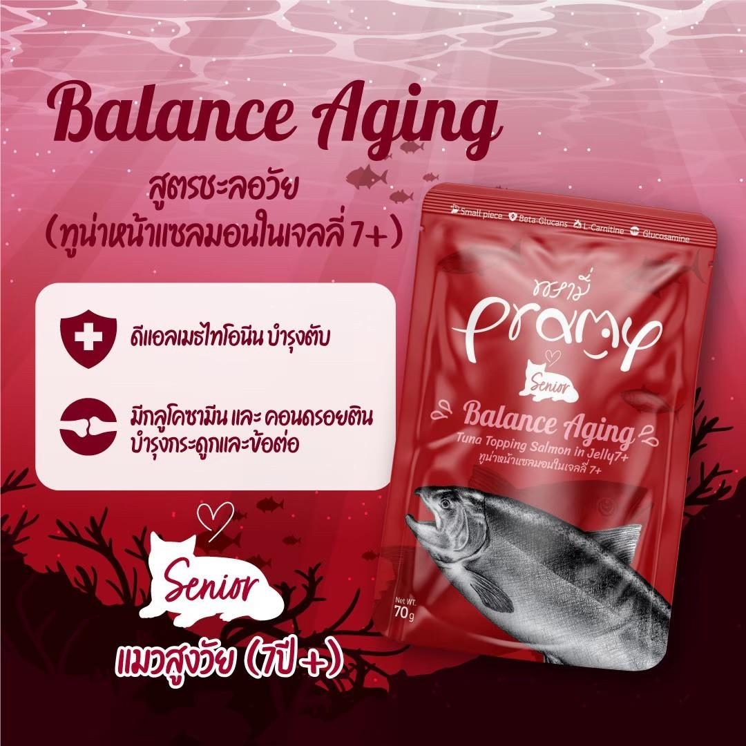 PRAMY พรามี่ อาหารเปียกแมว สูตรใหม่ ขนาด 70 กรัม (โหล 12 ซอง)