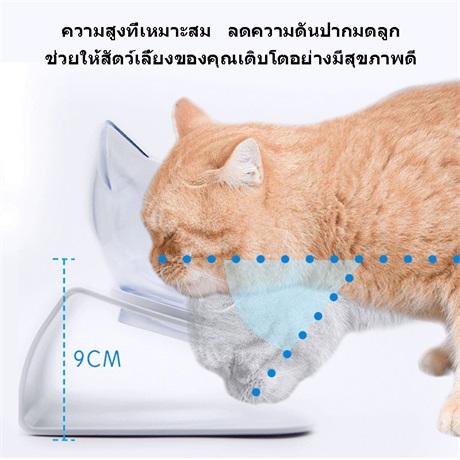 ชุดชามให้อาหารแมว แบบเอียง 15 องศา