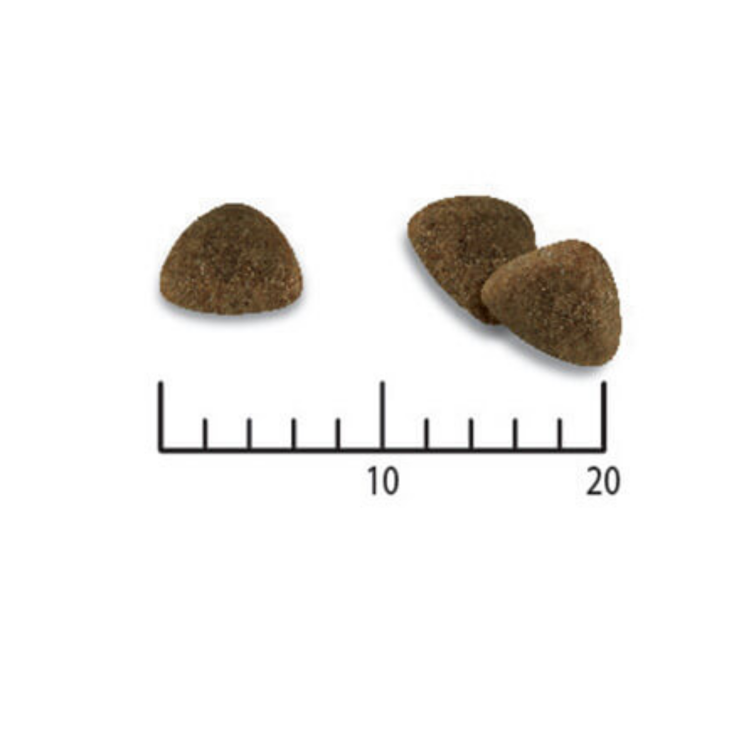 PRO PLAN CAT KITTENl อาหารลูกแมวหย่านม 6 สัปดาห์ - 1 ปี 1.5KG 3.5KG 8KG