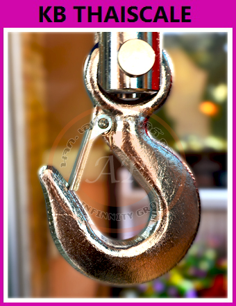 ตาชั่งแขวนดิจิตอล 500 kg ความละเอียด 0.2kg เครื่องชั่งเเขวน SDS รุ่น IDS807 มีใบตรวจ รับรอง จาก ชั่ง ตวง วัด เรียบร้อยค่ะ