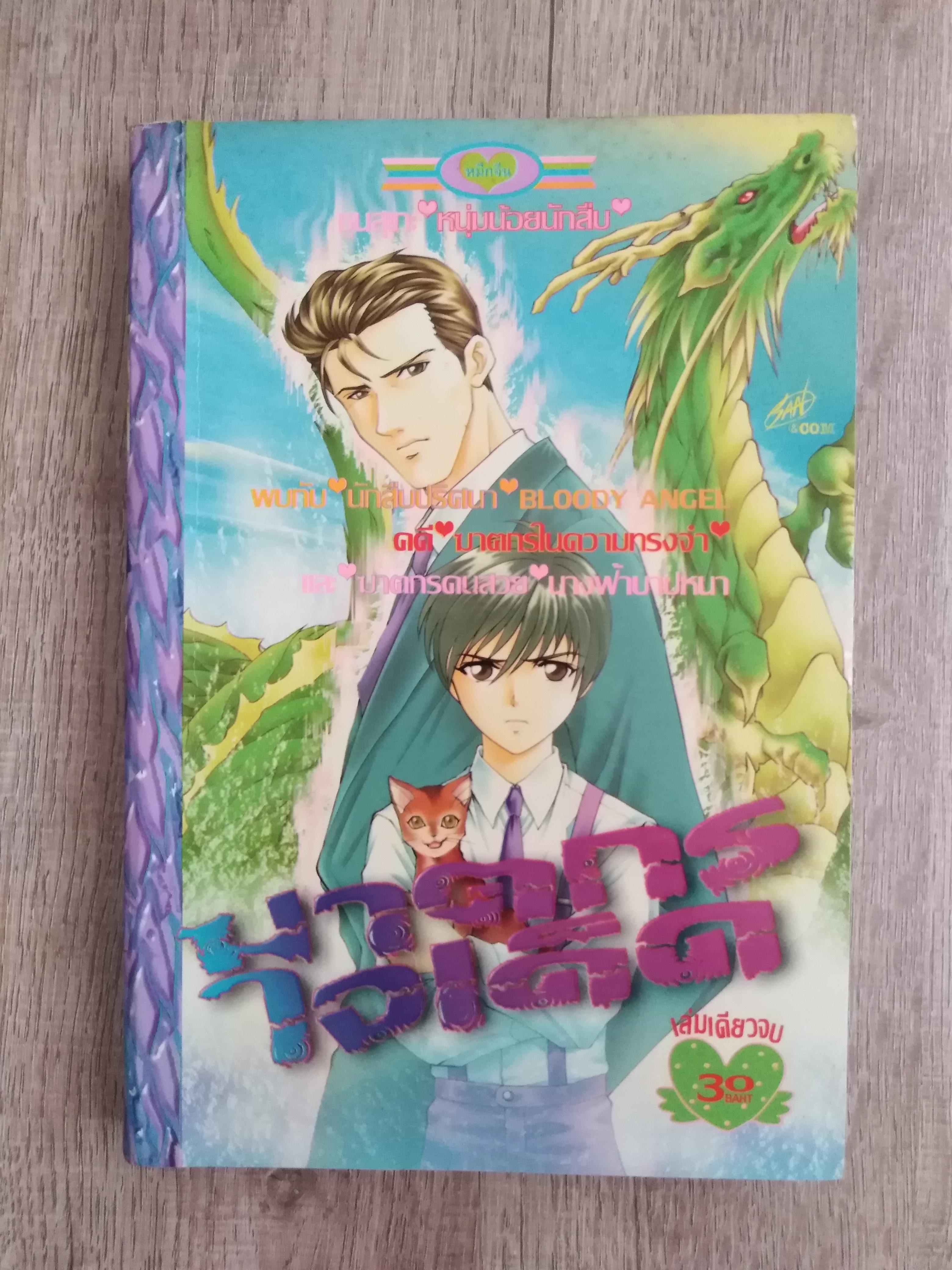 ฆาตกรใจเด็ด โดย AKIRA OOTSUKA( เล่มเดียวจบ)