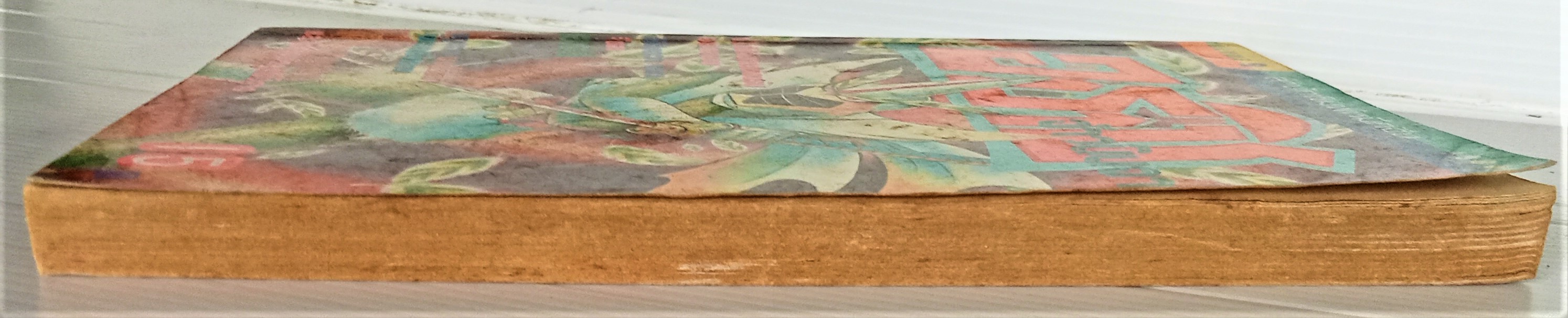 อาราชิ จ้าวนินจา เล่ม 2