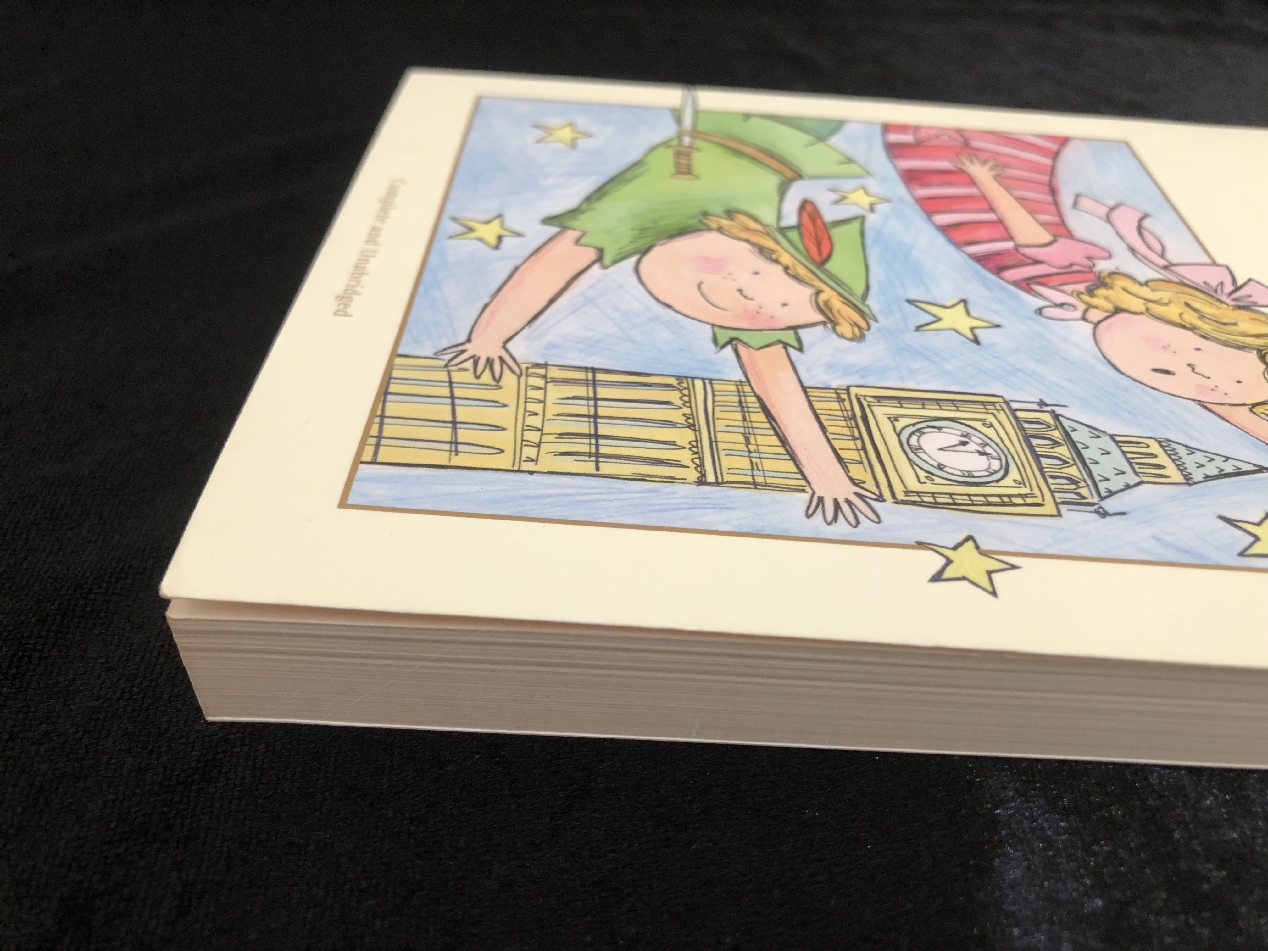 WORDSWORTH READERS: PETER PAN