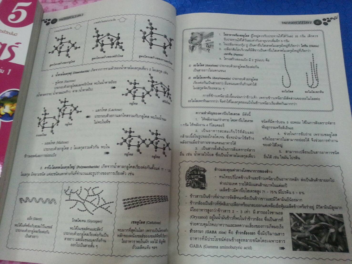 หนังสือสื่อการเรียนรู้และเสริมสร้างทักษะตามมาตรฐานและตัวชี้วัด กลุ่มสาระการเรียนรู้วิทยาศาสตร์ ชั้น ม.2 เล่ม 2 (4) สำนักพิมพ์นิยมวิทยา