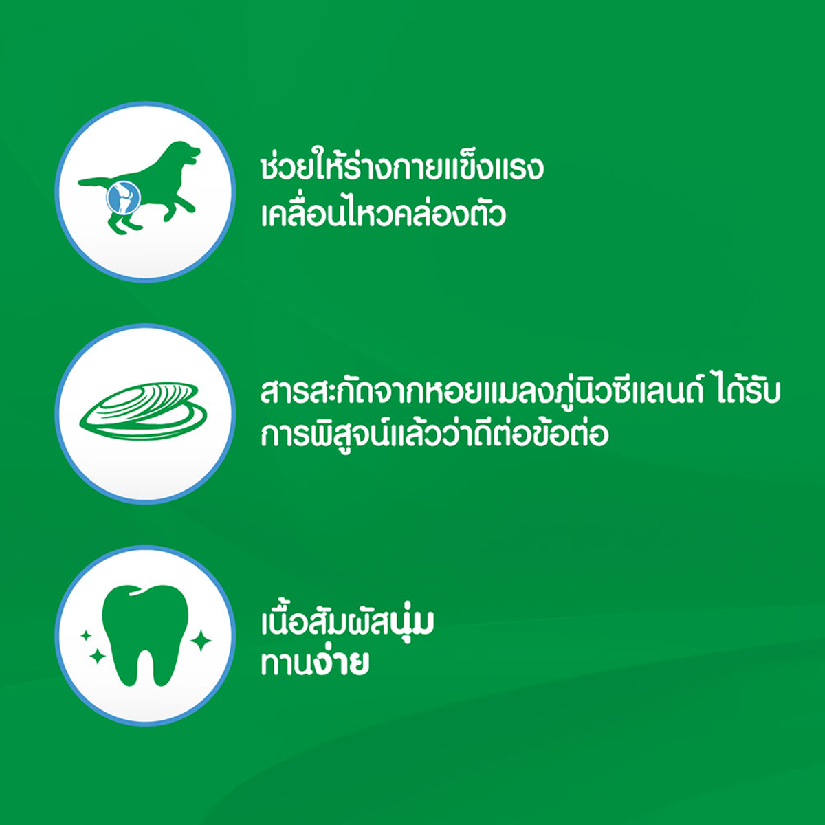 IAMS ไอแอมส์ อาหารเสริมสุนัข - อาหารเสริมเคี้ยวได้ ขนาด 168 G