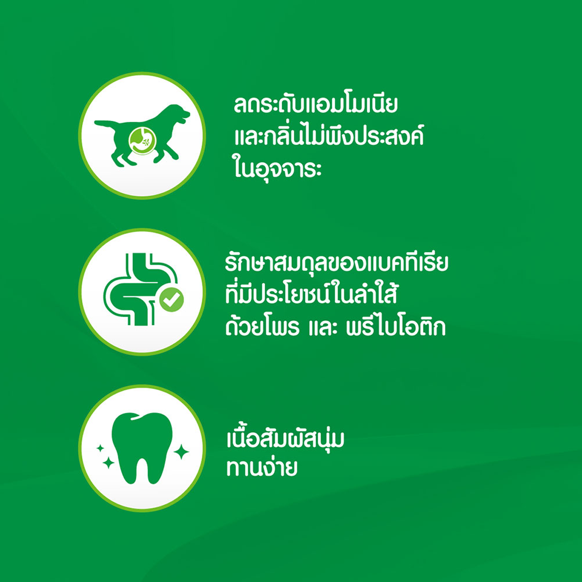 IAMS ไอแอมส์ อาหารเสริมสุนัข - อาหารเสริมเคี้ยวได้ ขนาด 168 G