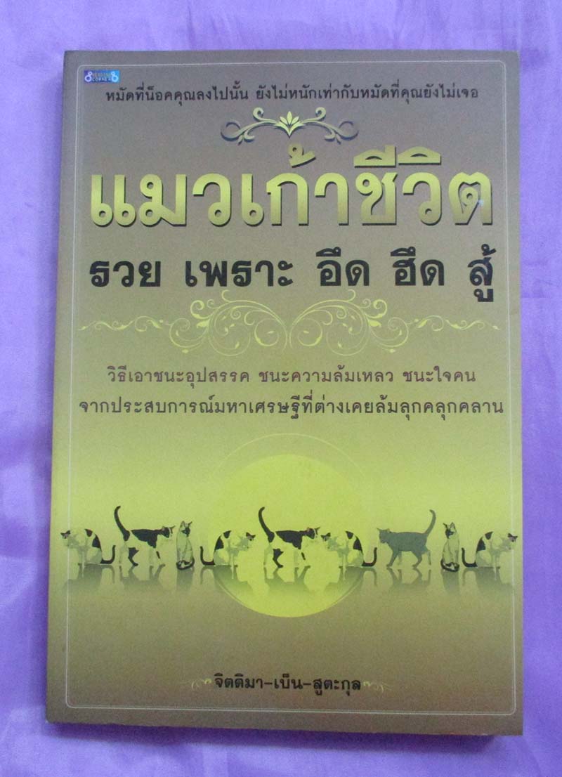 หนังสือ แมวเก้าชีวิต รวยเพราะอึดฮึดสู้