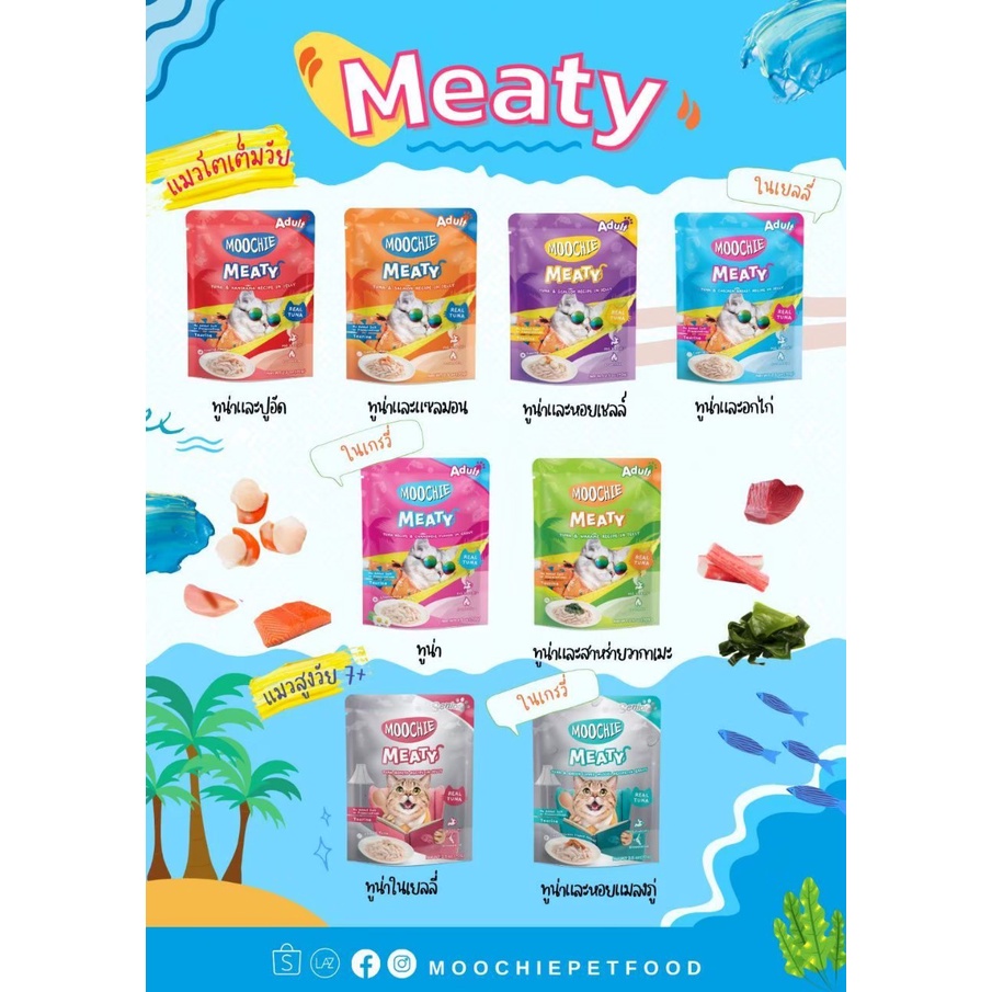 Moochie Meaty Cat Food Pouch มูชี่ มีทตี้ อาหารเปียกแมว 70gx12ซอง