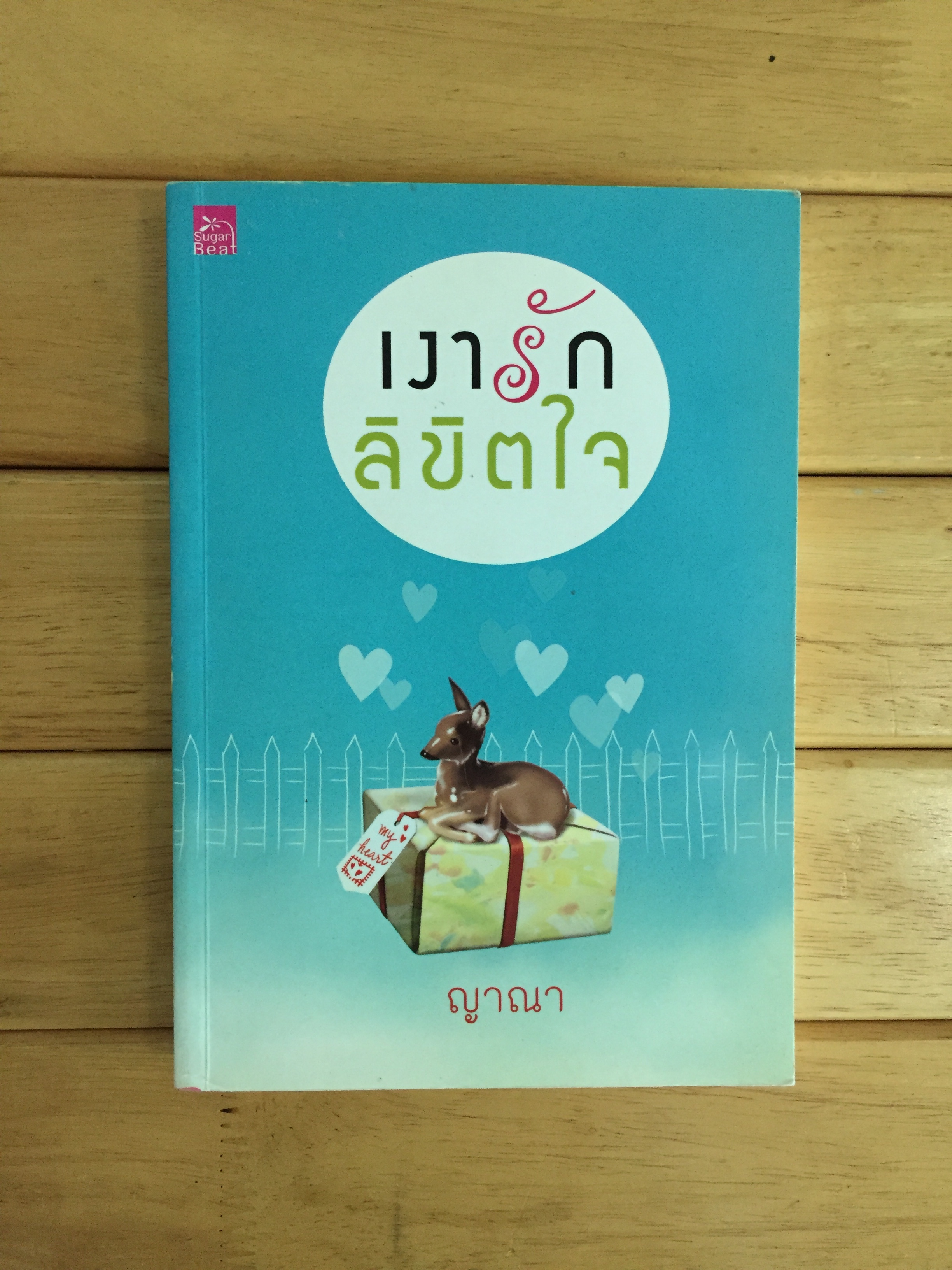 เงารักลิขิตใจ