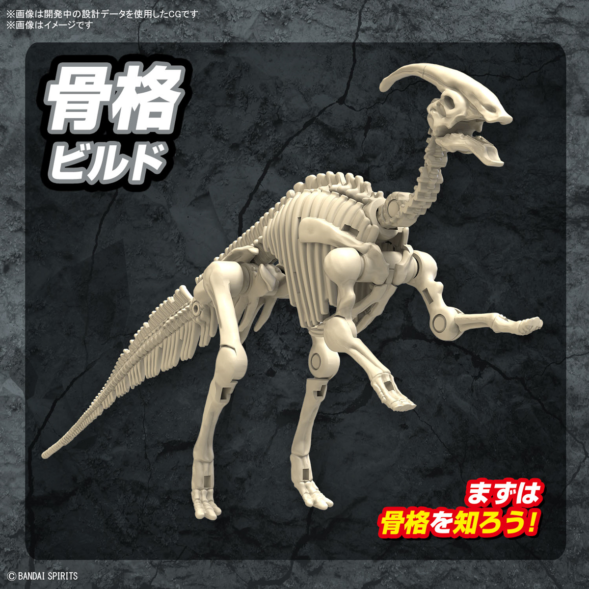 <Preorder ปิดรับวันที่ 3/4/2024 > 🔔เปิดรับPreorder ไม่ต้องมัดจำครับ planosaurus parasaurolophus