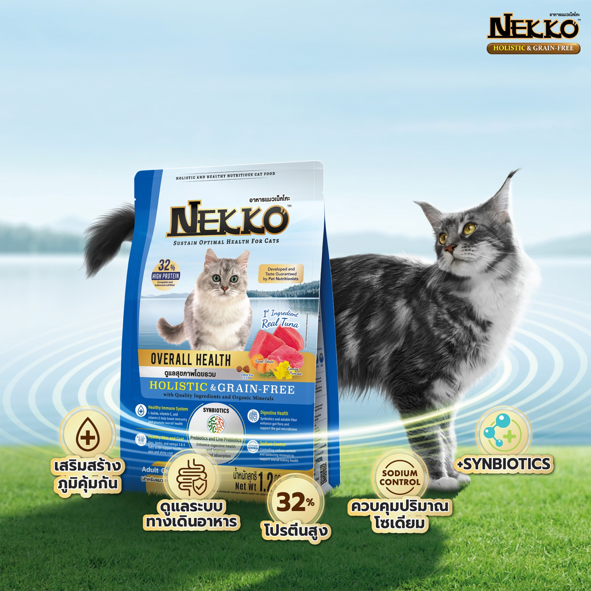 Nekko Holistic&Grain-Free เน็กโกะ โฮลิสติกและเกรนฟรี อาหารเม็ดแมว อาหารแมว ขนาด 1kgx10