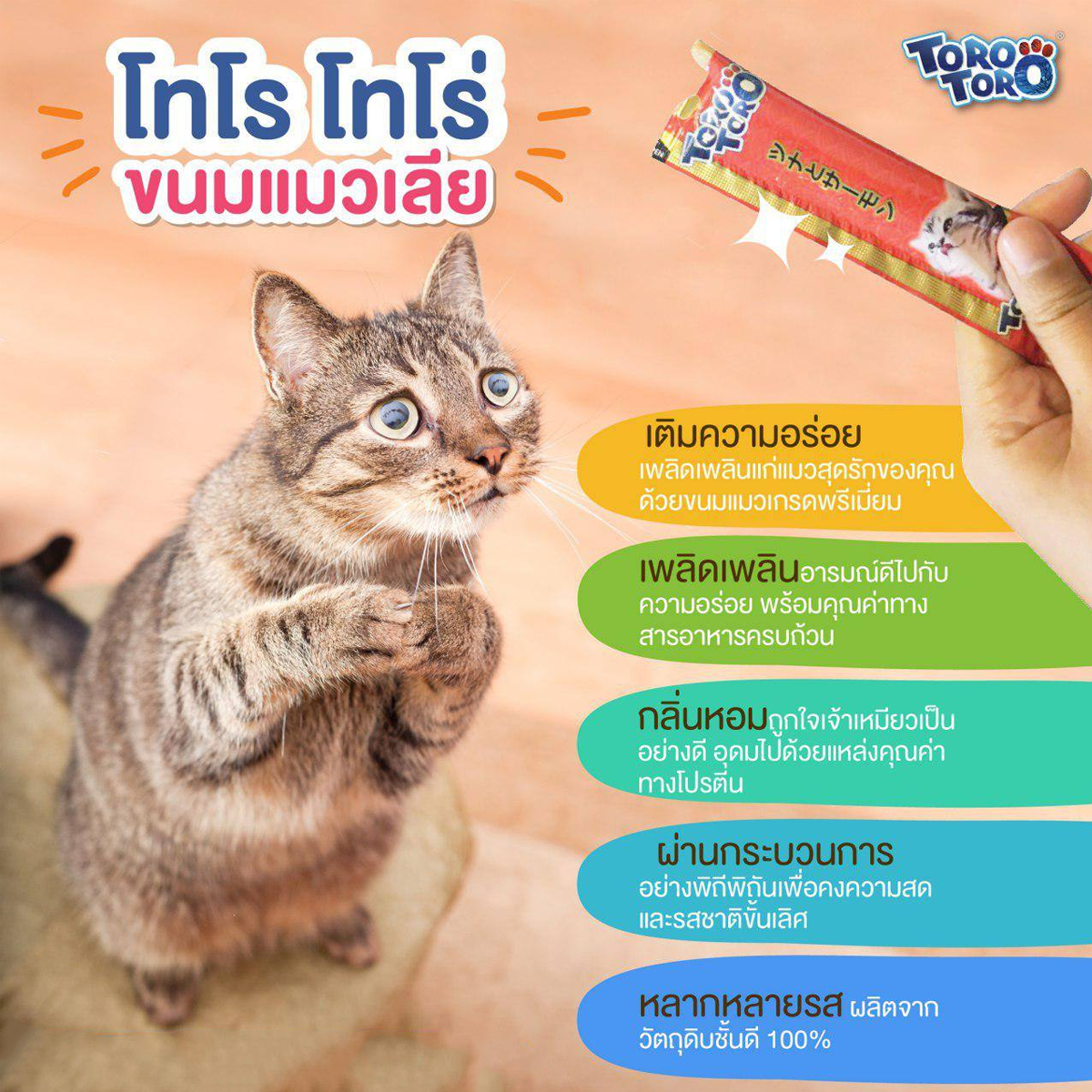 Toro Toro ขนมแมวเลีย โทโร โทโร่ 15 G x 24/25 ซอง