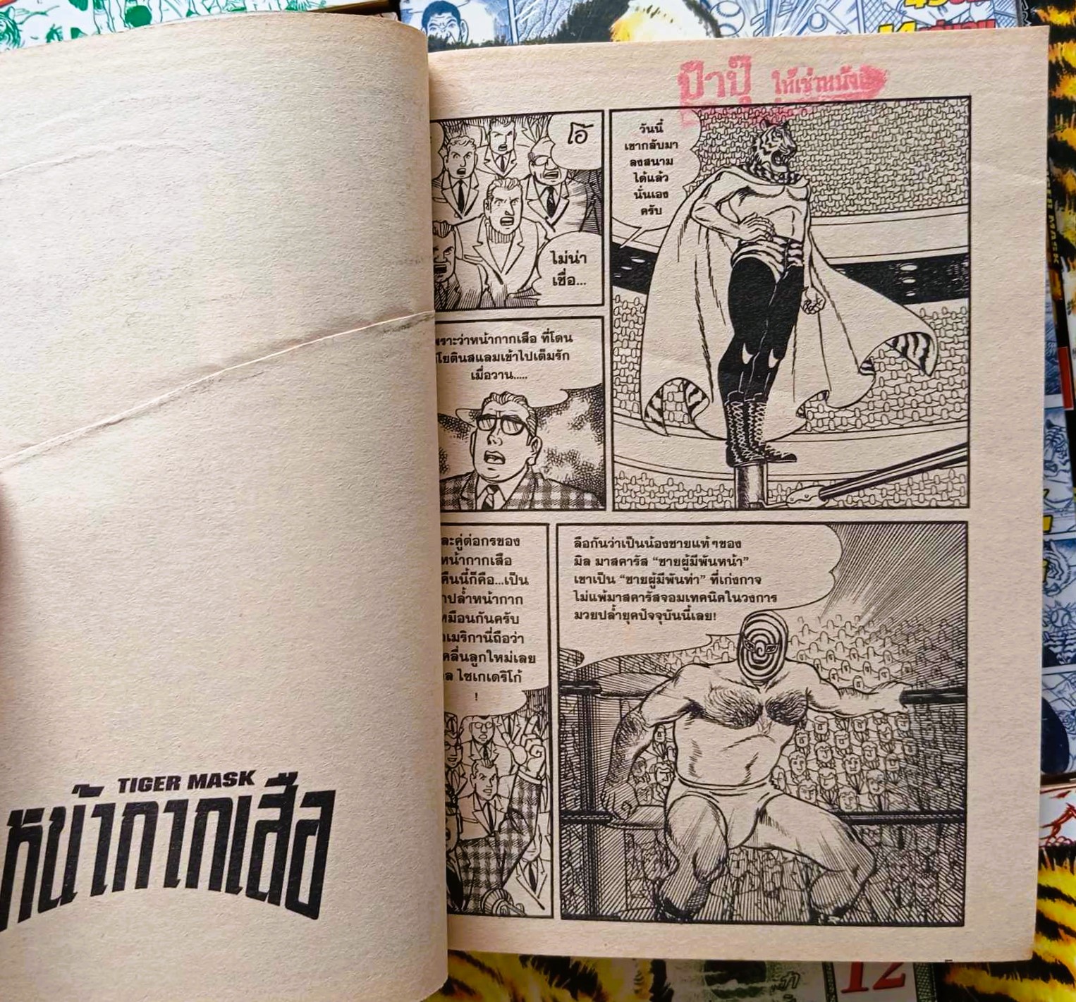 หน้ากากเสือ