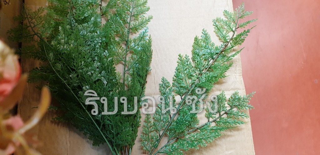ใบแซมช่อดอกไม้ ใบสน ใบไม้ปลอม