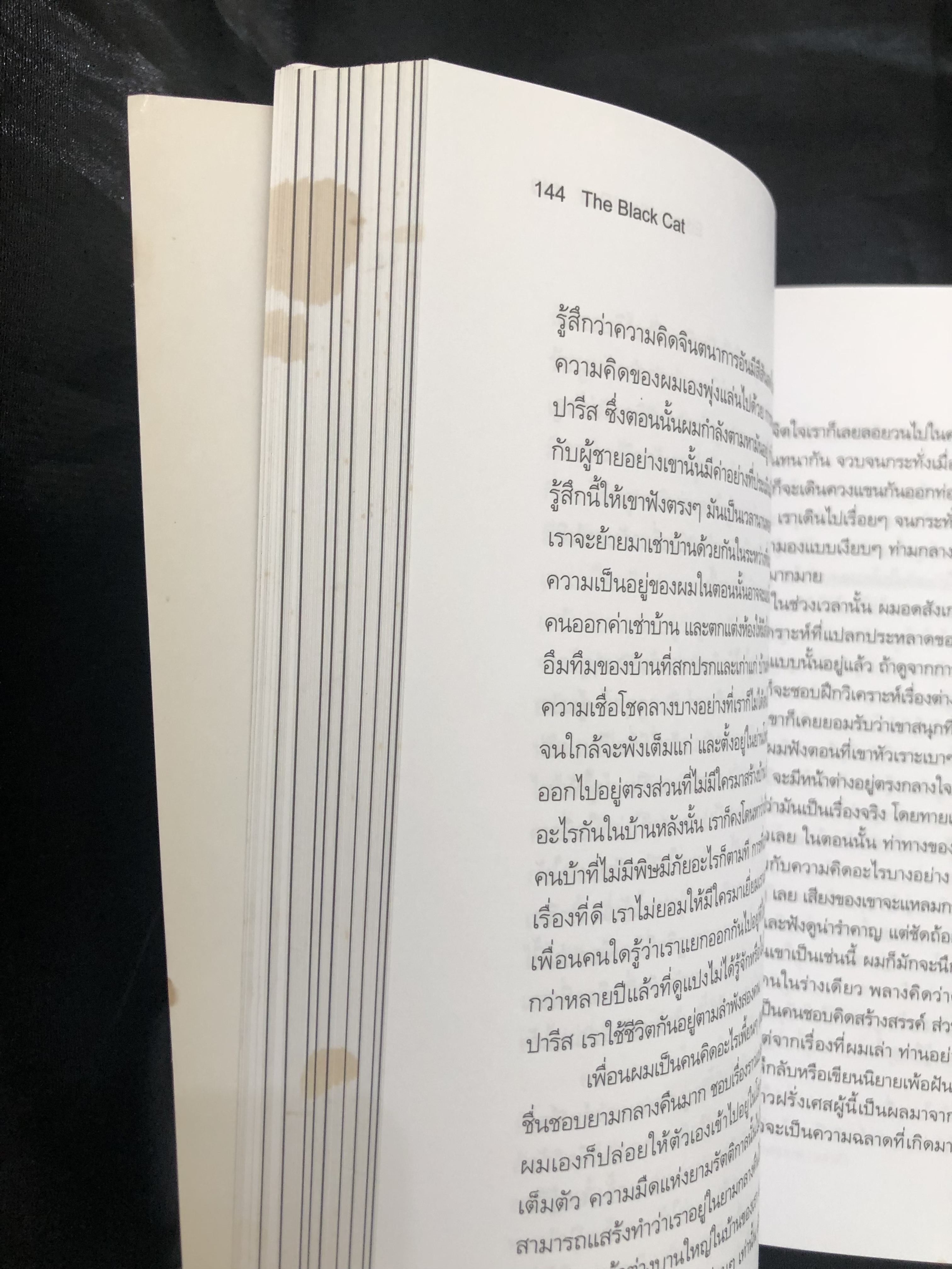 แมวผี : The Black Cat