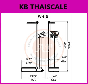 ตาชั่งน้ำหนักคน เครื่องชั่งน้ำหนักบุคคล เครื่องชั่งดิจิตอลพร้อมชุดวัดส่วนสูงพร้อม BMI คำนวณค่าดัชนีมวลกาย (Body Mass Index) พิกัดกำลัง 300 kg และชุดวัดส่วนสูง 60 - 212 cm ZEPPER รุ่น WH-300B