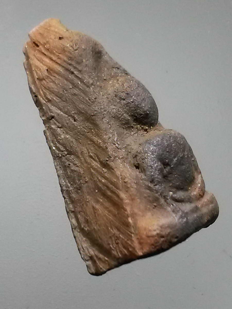 รหัสสินค้า พระไม่ทราบที่ 480 พระนางพญา พิมพ์อกนูนเล็ก ไม่ทราบที่่น่าจะเป็นพระเกจิ สร้างล้อพิมพ์ พระนางพญาของพิษณุโลก