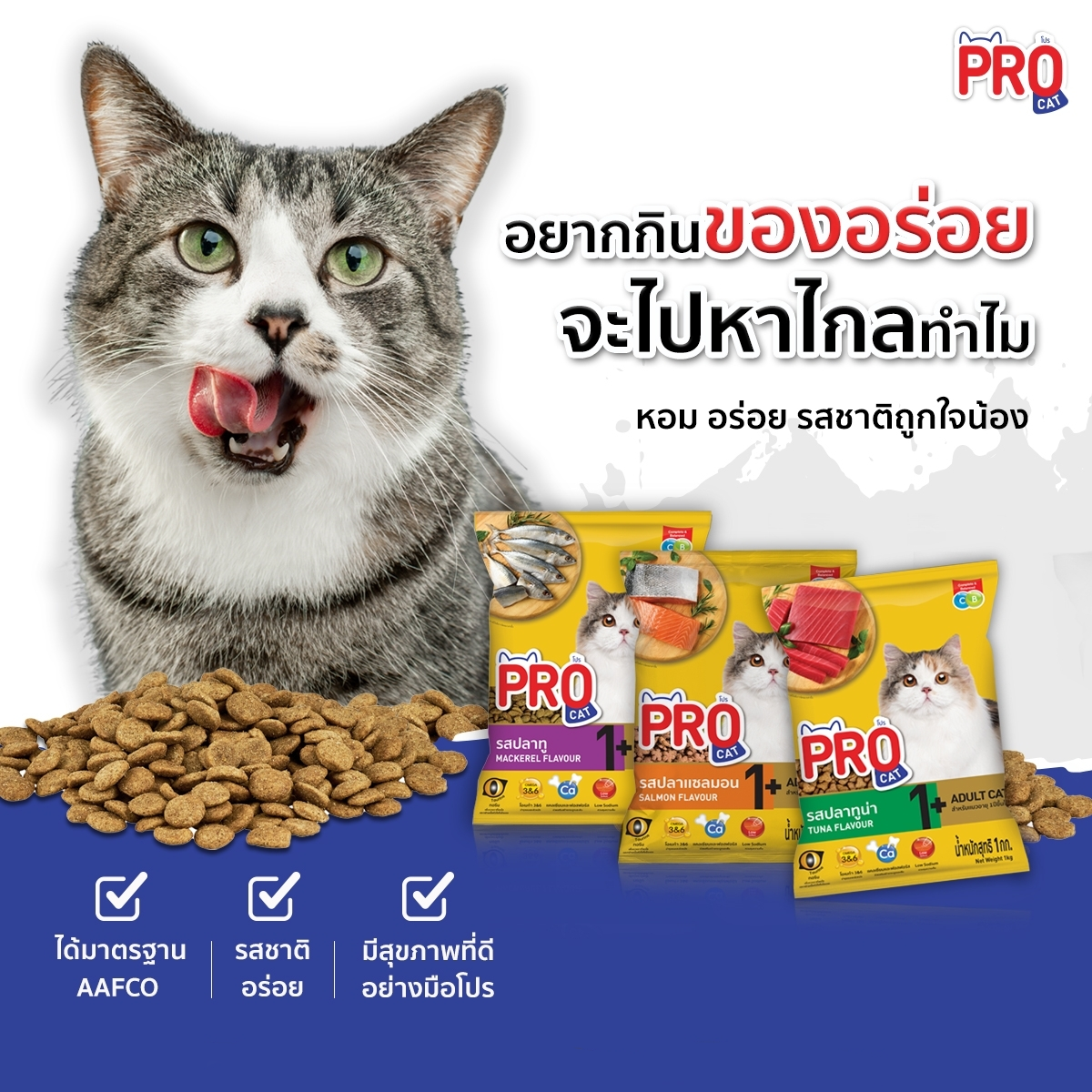 Pro cat โปรแคท อาหารแมว ชนิดเม็ด ขนาด 7 KG