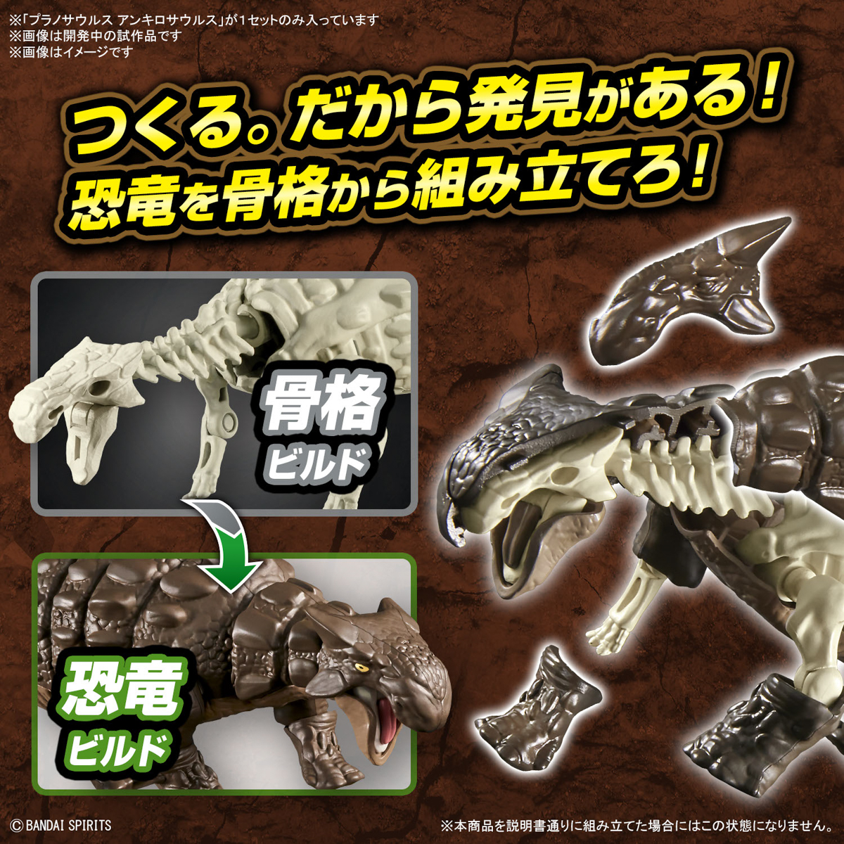 <Preorder ปิดวันที่2/7/2023 > 🔔เปิดรับPreorder ไม่ต้องมัดจำ Planosaurus Ankylosaurus