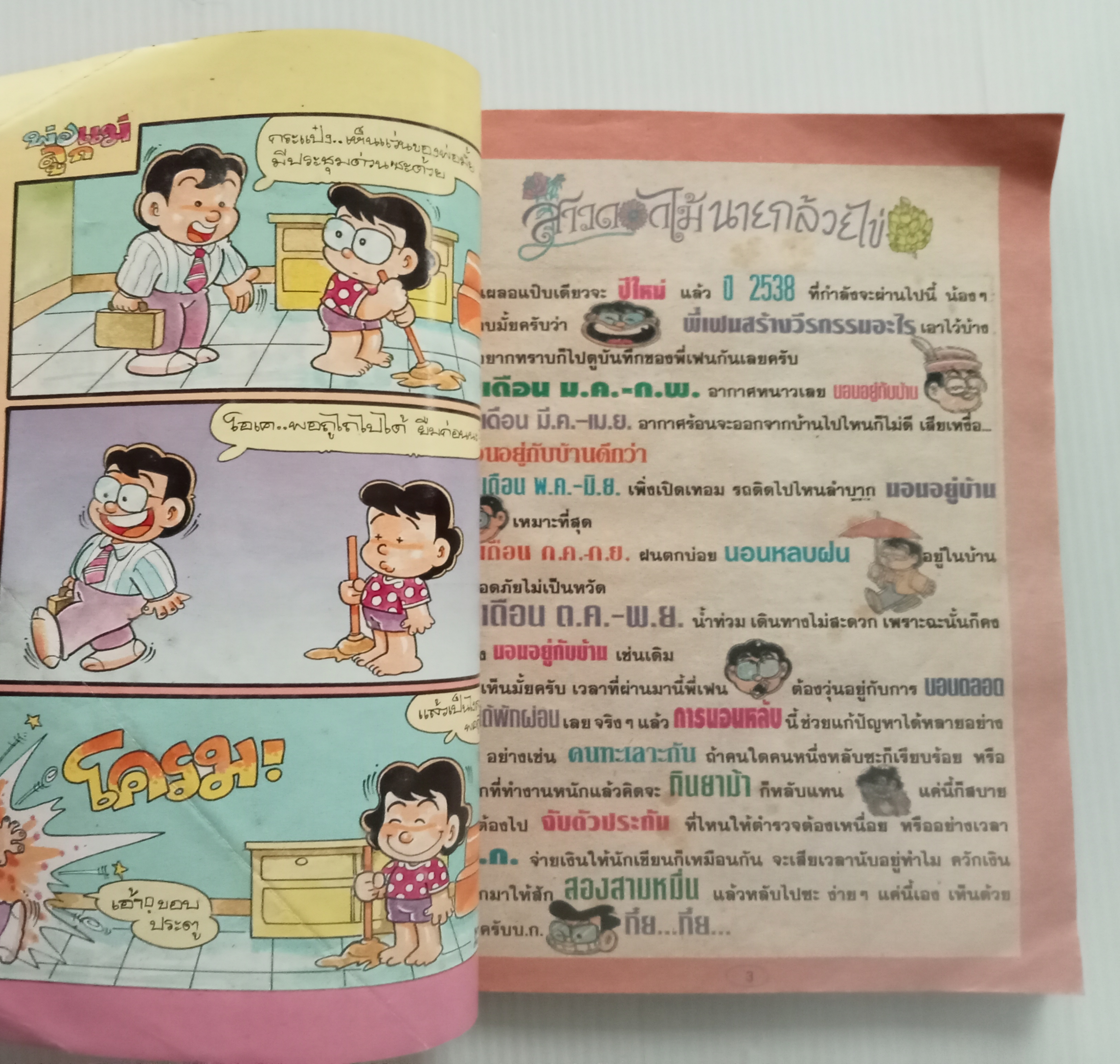 สาวดอกไม้กับนายกล้วยไข่ เล่ม 20