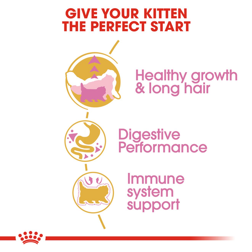 Royal Canin Kitten Persian โรยัล คานิน สำหรับลูกแมวเปอร์เซีย อายุ 4-12 เดือน