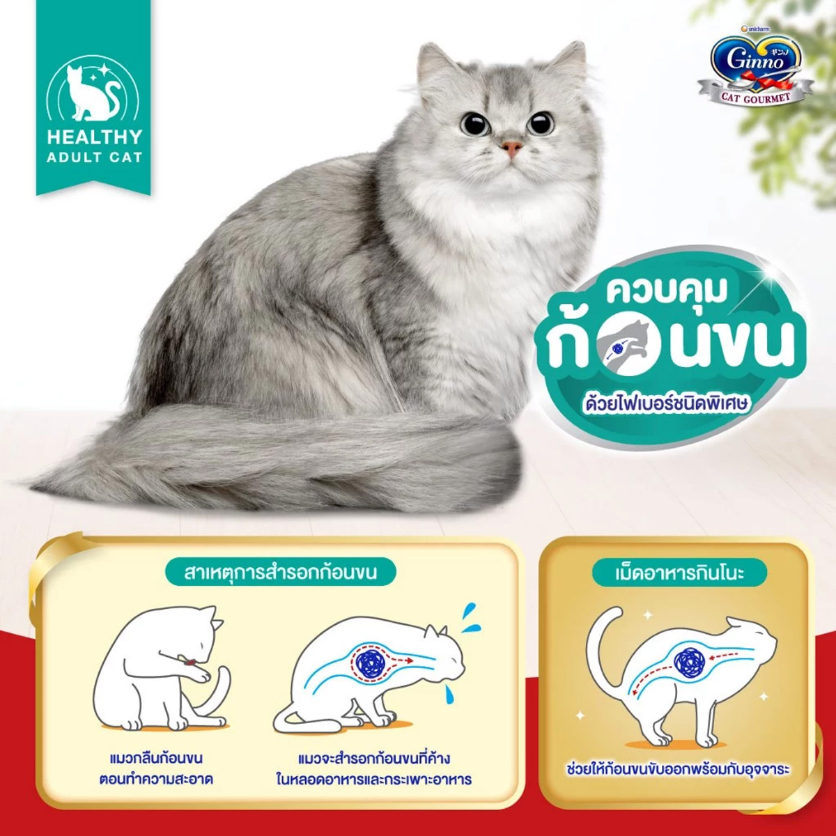 Ginno Dry Health กินโนะ อาหารเม็ดแมวสูตรสุขภาพ ขนาด 360g.