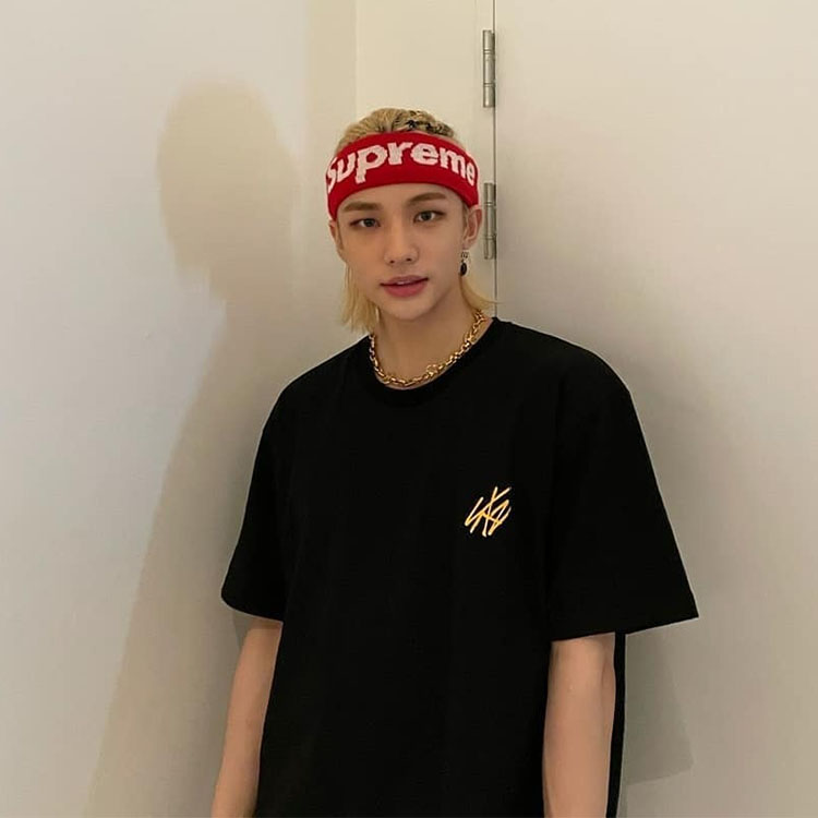 เสื้อยืด Stray Kids | ONLINE CONCERT