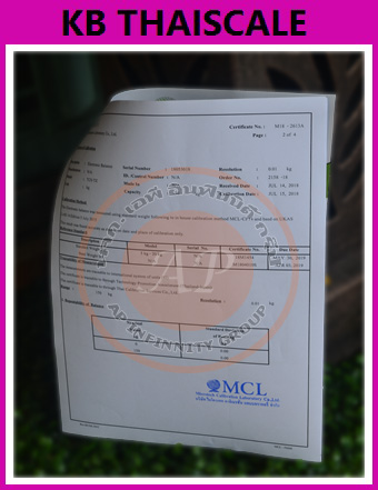 ใบ Certificate เครื่องชั่งดิจิตอล ขนาดน้ำหนักชั่ง 300 กิโลกรัม ใบ Certificate เครื่องชั่งจากเอกชน