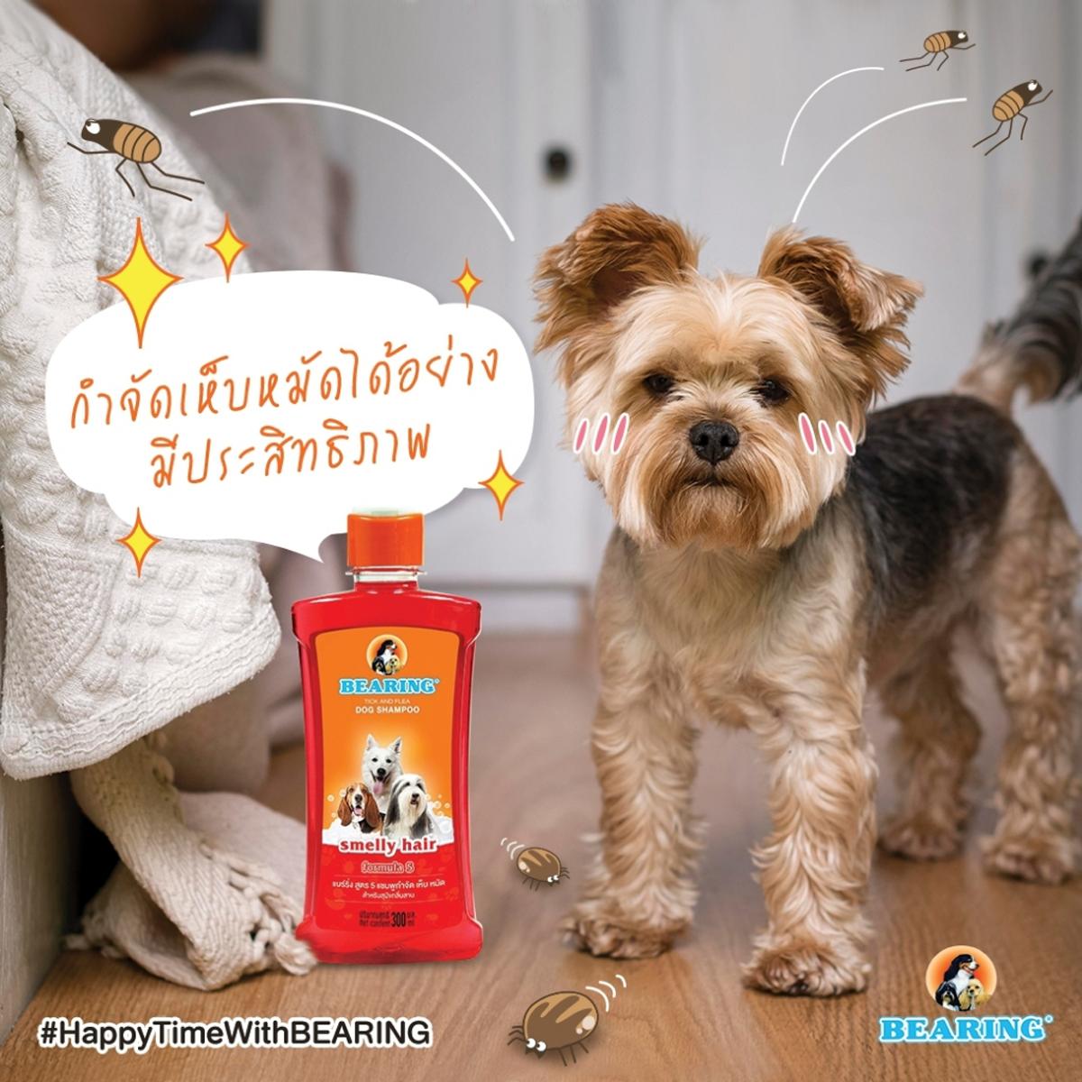 Bearing แชมพูสุนัข แชมพูกำจัด เห็บ หมัด ขนาด 300 ML