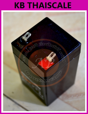 แบตเตอรี่ 4V 4AH แบตเตอรี่เครื่องช่ง อะไหล่เครื่องชั่ง แบตเตอรี่แบบแห้ง 4v 4AH