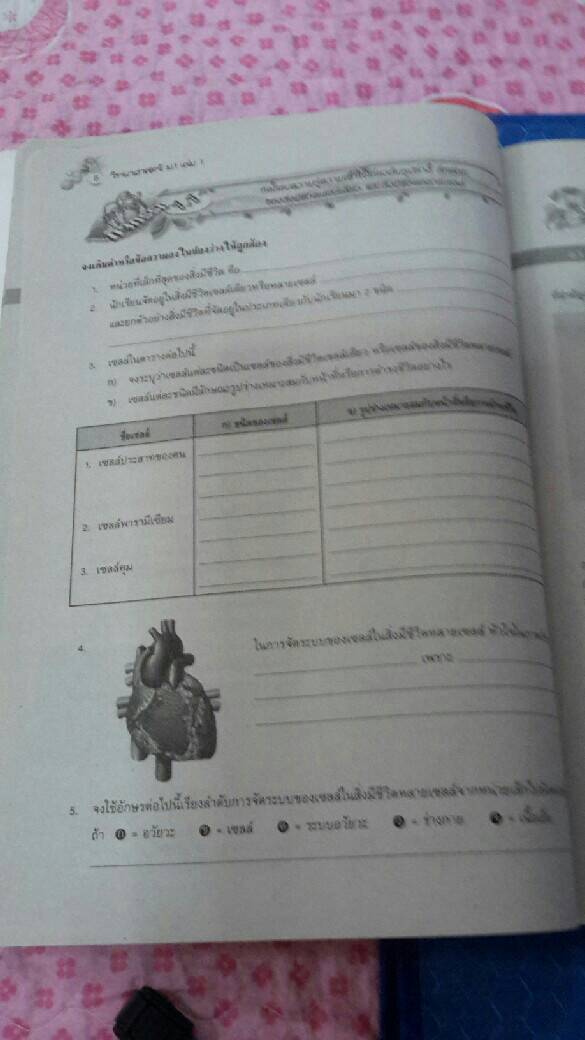 หนังสือสื่อการเรียนรู้และเสริมสร้างทักษะตามมาตรฐานและตัวชี้วัด กลุ่มสาระการเรียนรู้วิทยาศาสตร์ ชั้น ม.1 เล่ม 1 สำนักพิมพ์นิยมวิทยา