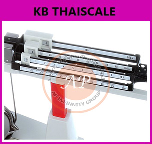 เครื่องชั่งแมคคานิกส์ Cent-O-Gram ยี่ห้อ OHAUS รุ่น 311 Series พิกัด 311 กรัม ค่าละเอียด ขีดละ 0.01 กรัม