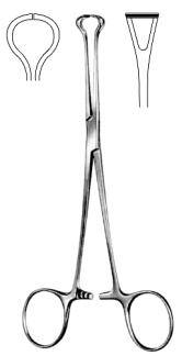 BABCOCK TISSUE FORCEP