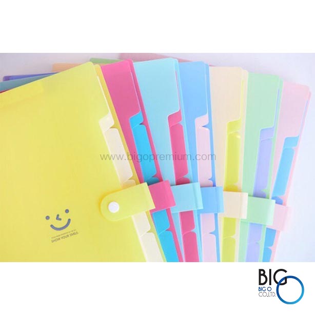 แฟ้มใส่เอกสาร 5 ช่อง (Kawaii Folder)