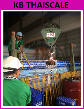 ตาชั่งแขวนดิจิตอล1000kg เครื่องชั่งแขวน1000kg เครื่องชั่งแขวนดิจิตอล1ตัน เครื่องชั่งแบบแขวน1000kg ละเอียด0.5kg TIGER รุ่น TIGER - TC-01
