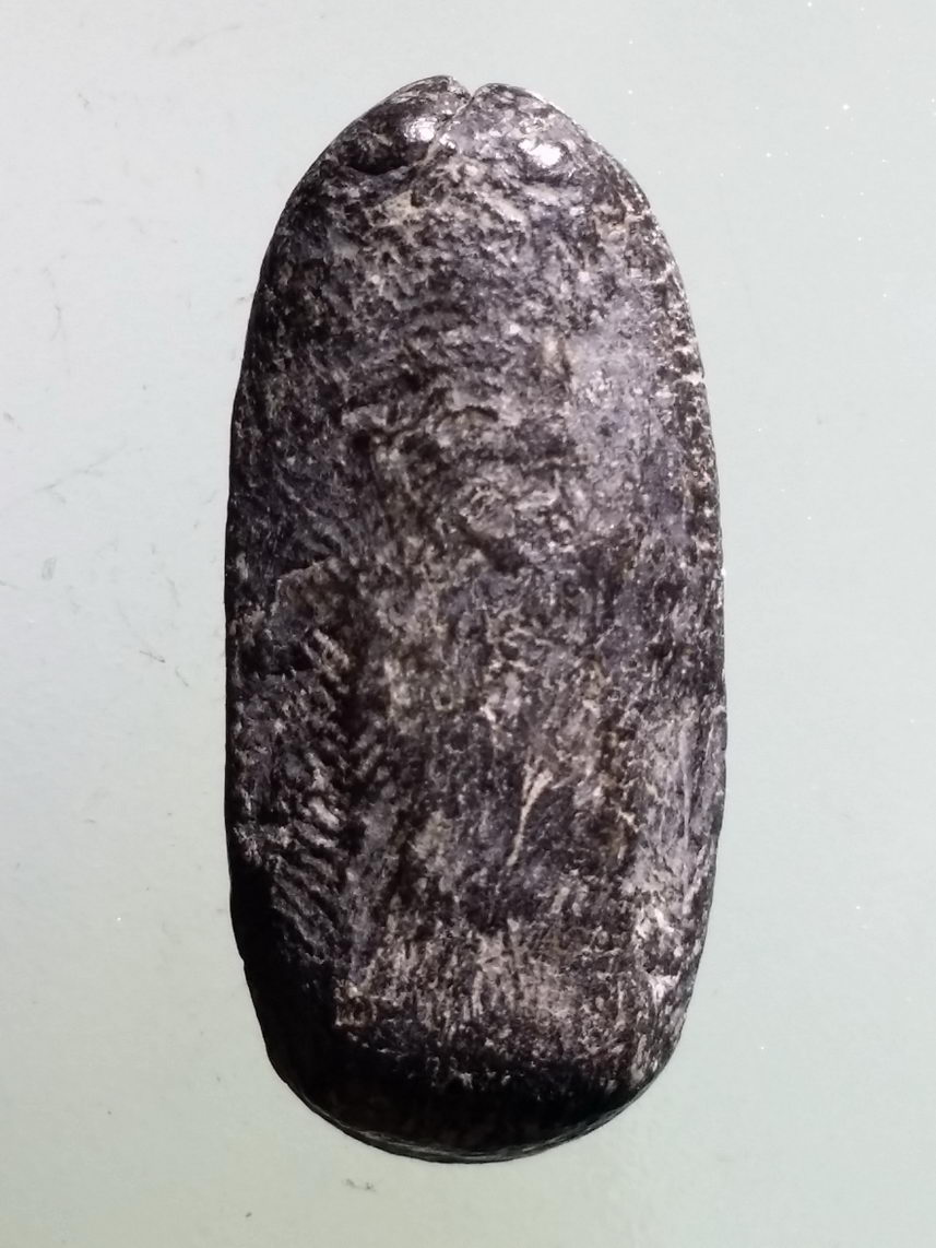 รหัสสินค้า พระไม่ทราบที่ 586 พระเนื้อดินพิมพ์ยืน ขนาดเมื่อเทียบกับเหรียญบาท ไม่ทราบที่ เก่าครับมีอายุ พระรายการนี้ให้เช่าบูชาแล้ว