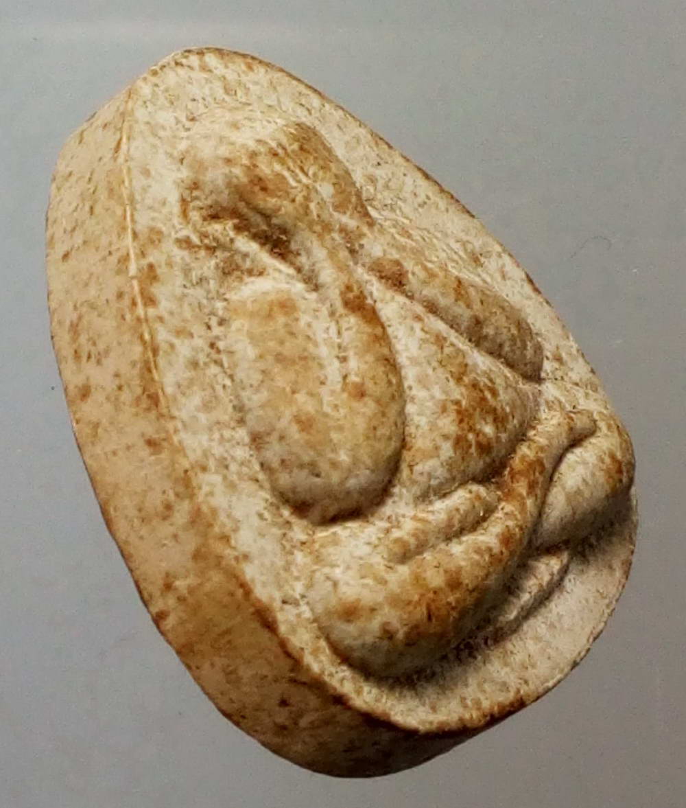 รหัสสินค้า พระปิดตา ทั่วไป 125 พระปิดตาเนื้อผง วัดสองพี่น้อง จังหวัดชัยนาท