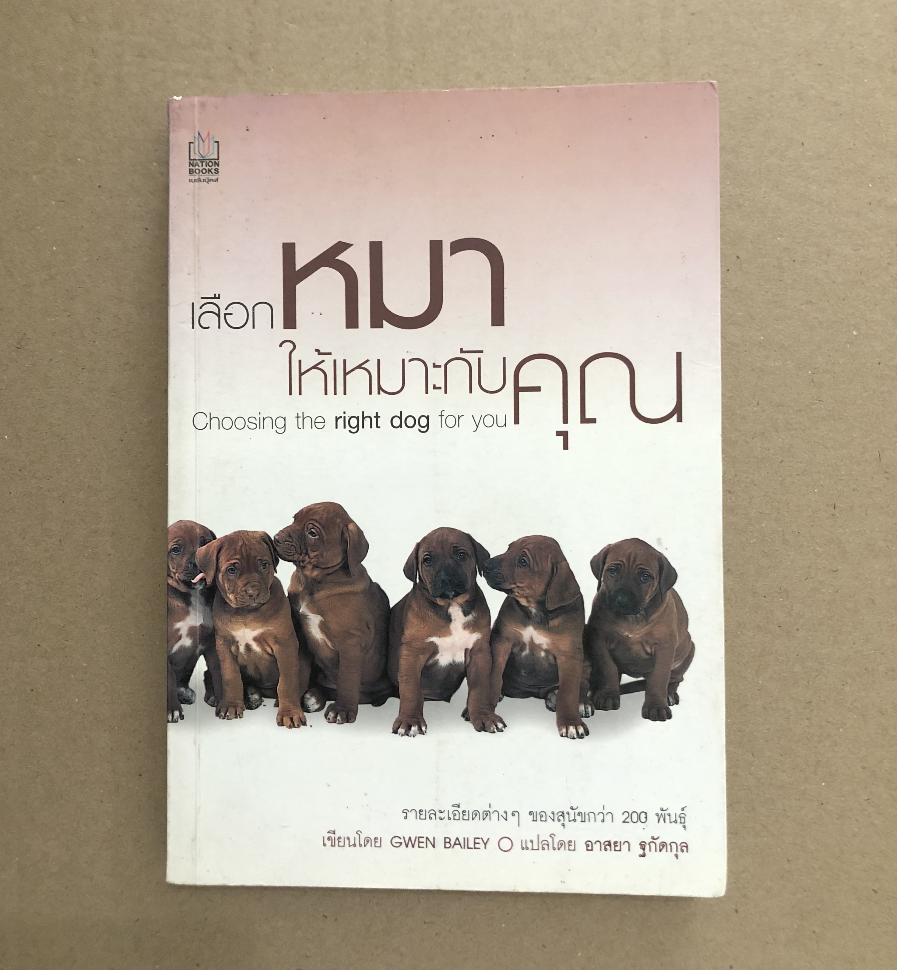 เลือกหมาให้เหมาะกับคุณ