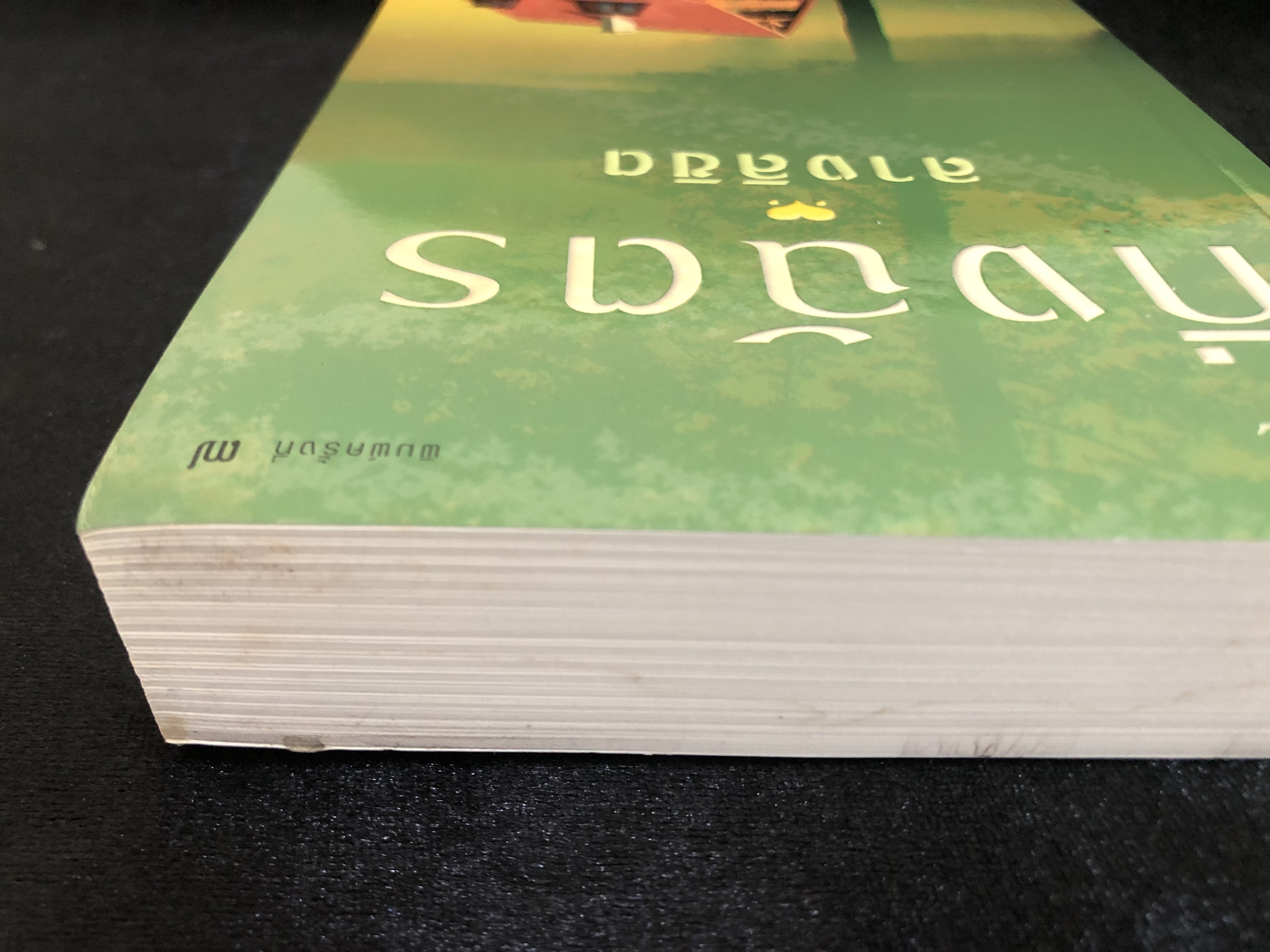 ลางลิขิต **ตำหนิ มีคราบน้ำ**