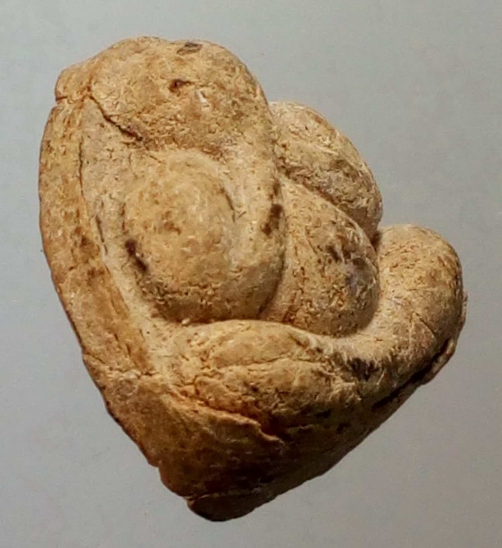 รหัสสินค้า พระปิดตา ทั่วไป 129 พระปิดตาเนื้อผงผสมว่าน หลังหนุมานเชิญธง หลวงปู่เกลี้ยง วัดเนินสุทธาวาส จังหวัดชลบุรี