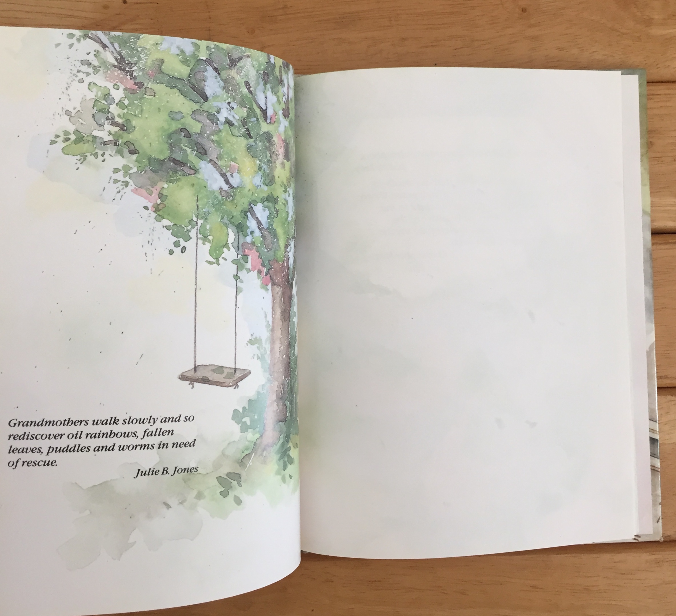 An Illustrated Grandmother's Notebook (Illustrated Notebooks)