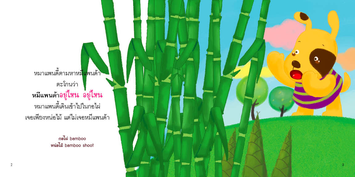 Box Set หมาแพนดี้กับหมีแพนด้า 4 เล่ม